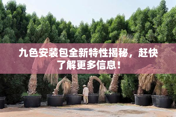 九色安装包全新特性揭秘，赶快了解更多信息！
