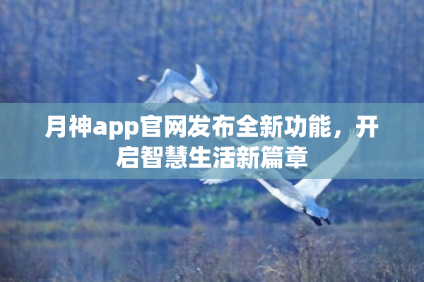 月神app官网发布全新功能，开启智慧生活新篇章