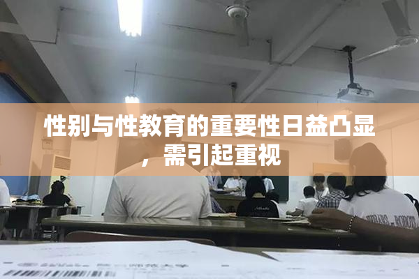 性别与性教育的重要性日益凸显，需引起重视