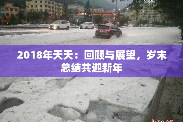 2018年天天：回顾与展望，岁末总结共迎新年