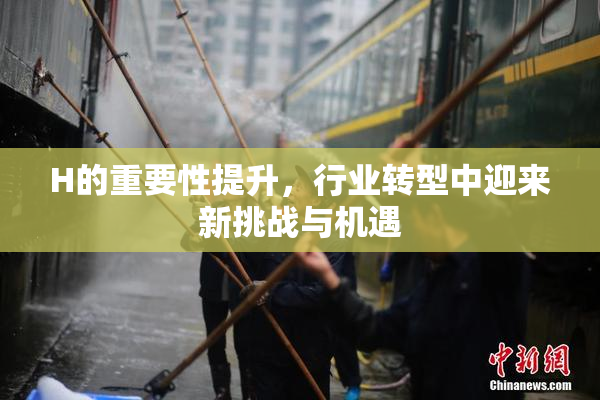 H的重要性提升，行业转型中迎来新挑战与机遇