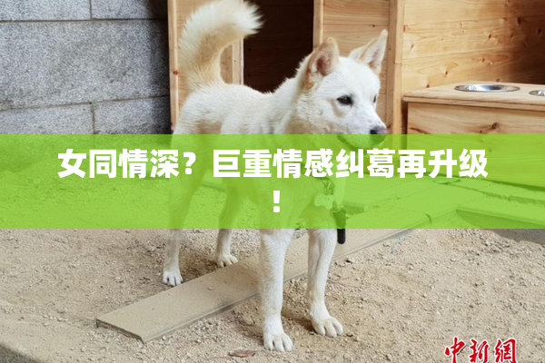 女同情深？巨重情感纠葛再升级！
