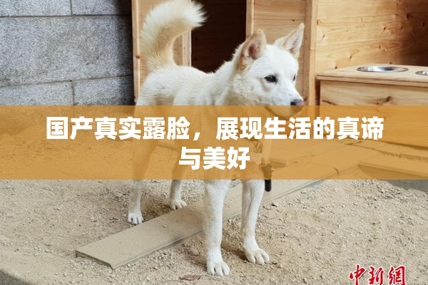 国产真实露脸，展现生活的真谛与美好