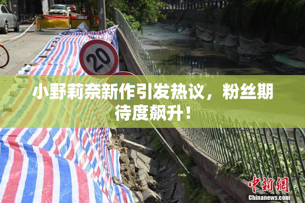 小野莉奈新作引发热议，粉丝期待度飙升！