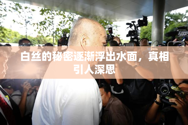 白丝的秘密逐渐浮出水面，真相引人深思