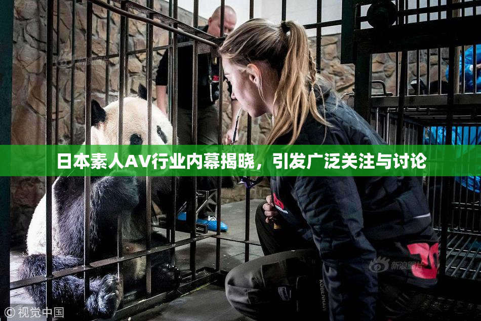 日本素人AV行业内幕揭晓，引发广泛关注与讨论