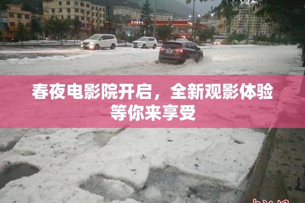 春夜电影院开启，全新观影体验等你来享受