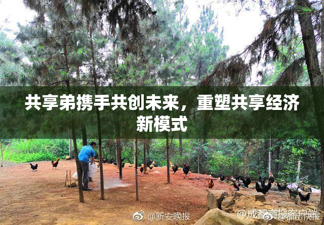共享弟携手共创未来，重塑共享经济新模式