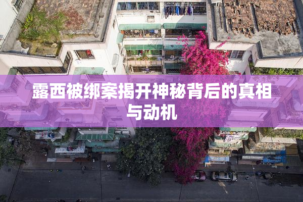 露西被绑案揭开神秘背后的真相与动机
