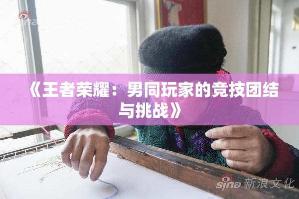 《王者荣耀：男同玩家的竞技团结与挑战》