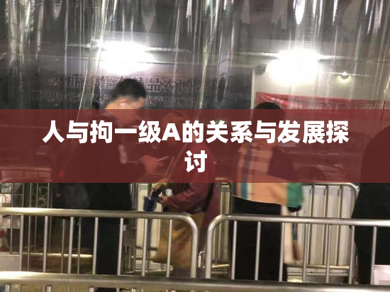 人与拘一级A的关系与发展探讨