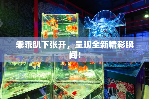 乖乖趴下张开，呈现全新精彩瞬间！