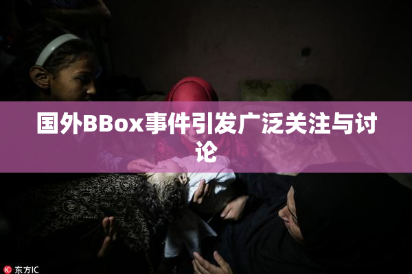 国外BBox事件引发广泛关注与讨论