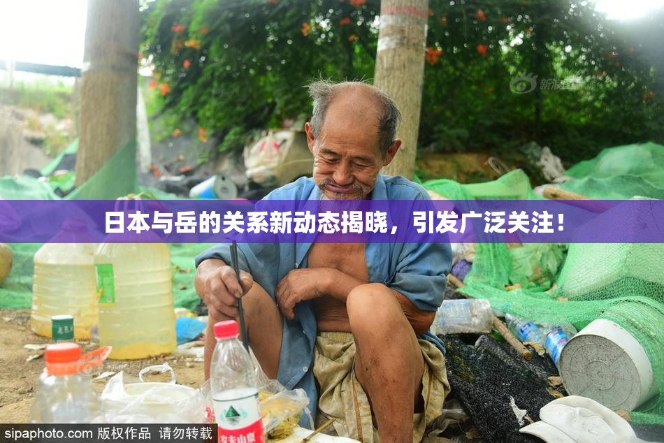 日本与岳的关系新动态揭晓，引发广泛关注！