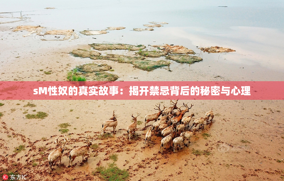 sM性奴的真实故事：揭开禁忌背后的秘密与心理