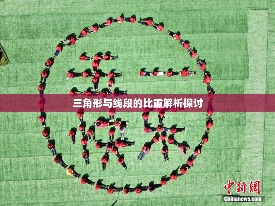 三角形与线段的比重解析探讨