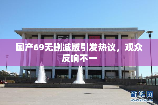 国产69无删减版引发热议，观众反响不一