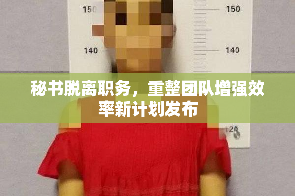 秘书脱离职务，重整团队增强效率新计划发布