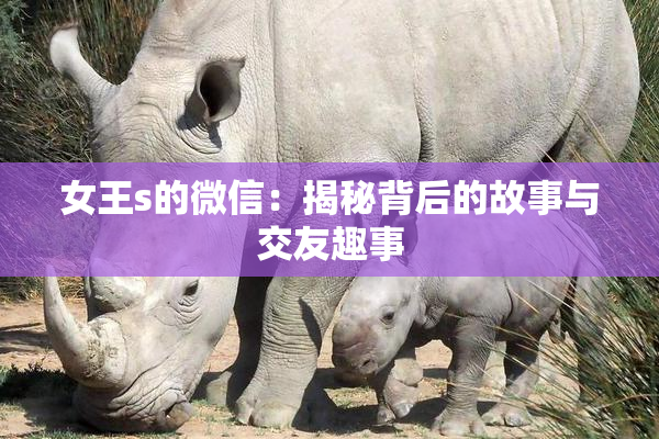 女王s的微信：揭秘背后的故事与交友趣事