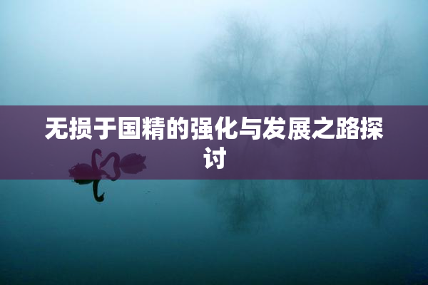 无损于国精的强化与发展之路探讨