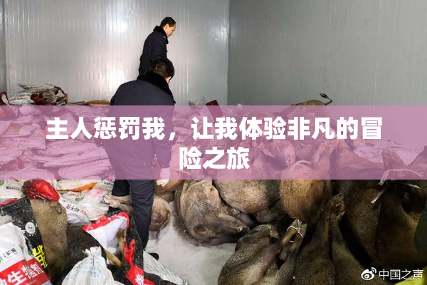 主人惩罚我，让我体验非凡的冒险之旅