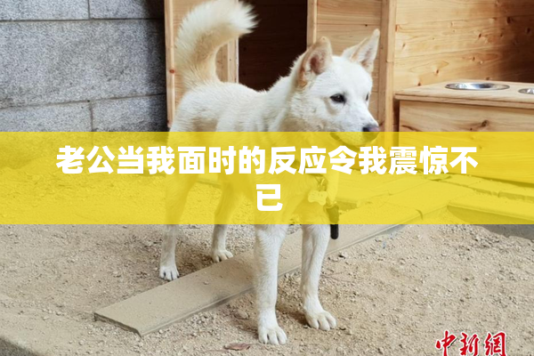 老公当我面时的反应令我震惊不已