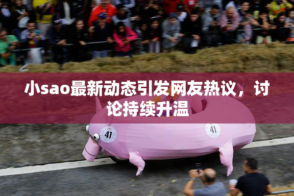 小sao最新动态引发网友热议，讨论持续升温
