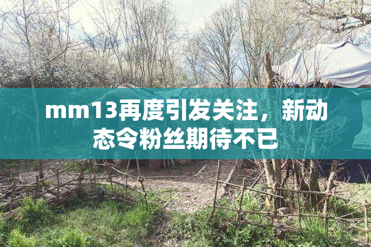 mm13再度引发关注，新动态令粉丝期待不已