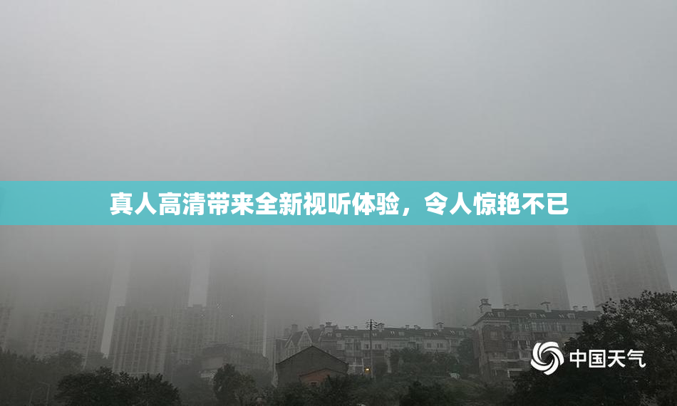 真人高清带来全新视听体验，令人惊艳不已