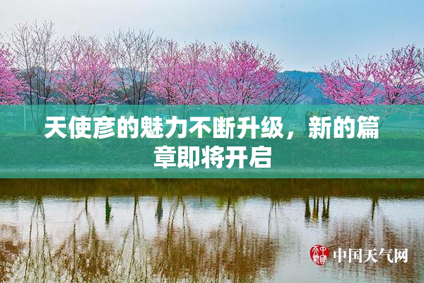 天使彦的魅力不断升级，新的篇章即将开启