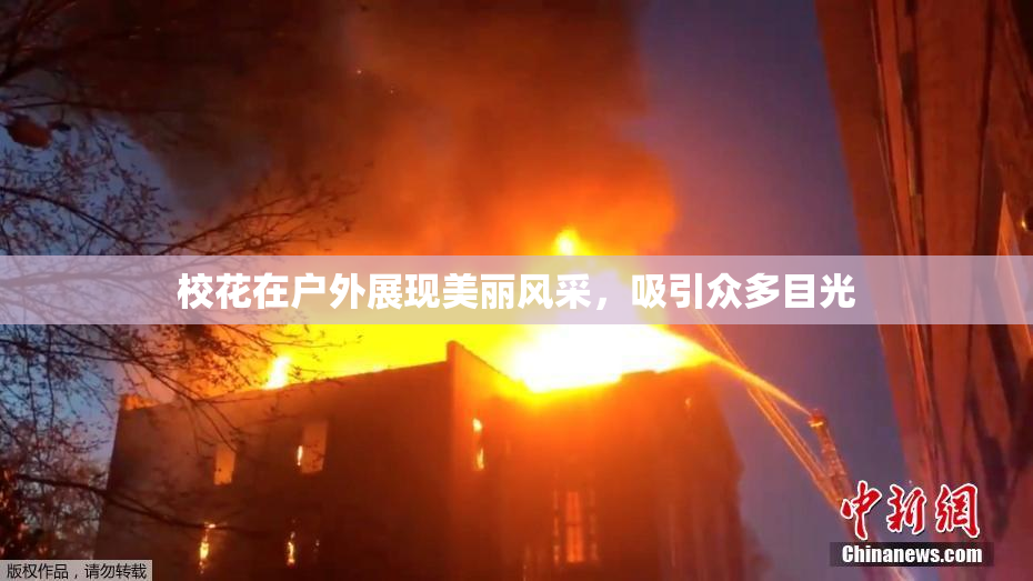 校花在户外展现美丽风采，吸引众多目光