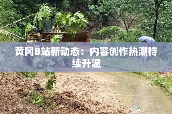 黄冈B站新动态：内容创作热潮持续升温