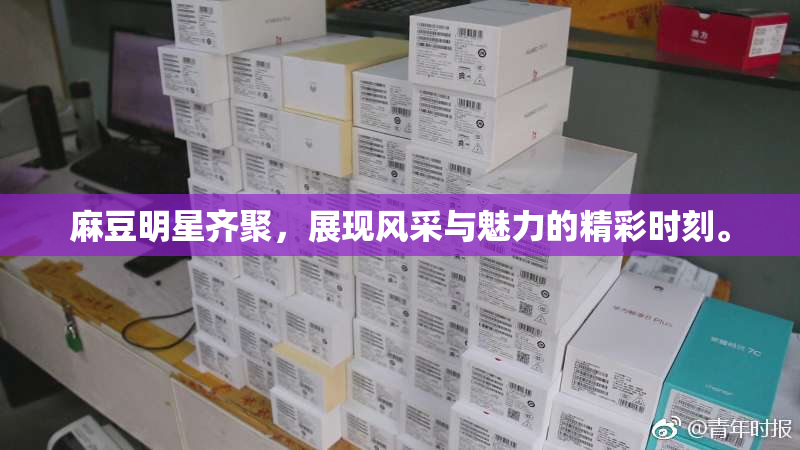 麻豆明星齐聚，展现风采与魅力的精彩时刻。
