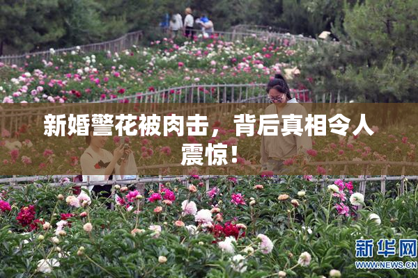 新婚警花被肉击，背后真相令人震惊！