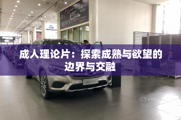 成人理论片：探索成熟与欲望的边界与交融