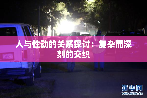 人与性动的关系探讨：复杂而深刻的交织