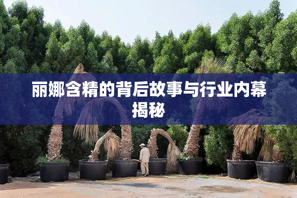 丽娜含精的背后故事与行业内幕揭秘
