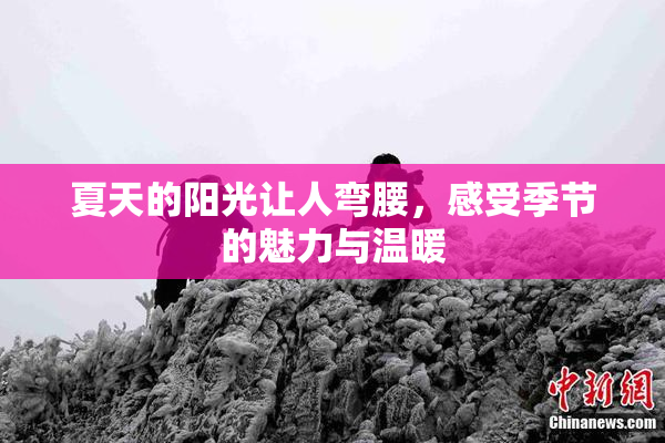 夏天的阳光让人弯腰，感受季节的魅力与温暖