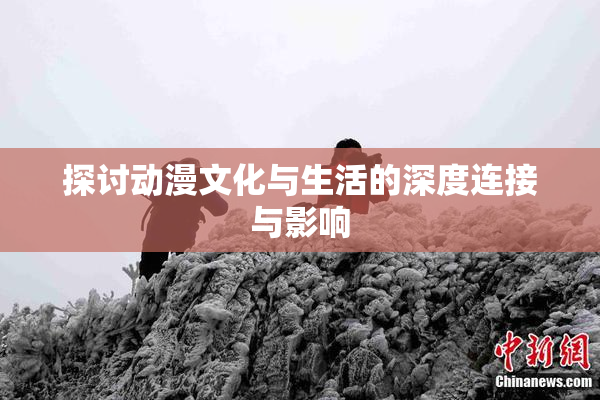 探讨动漫文化与生活的深度连接与影响