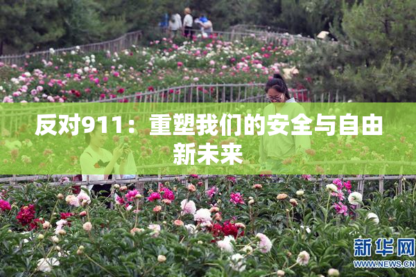 反对911：重塑我们的安全与自由新未来
