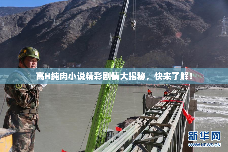高H纯肉小说精彩剧情大揭秘，快来了解！