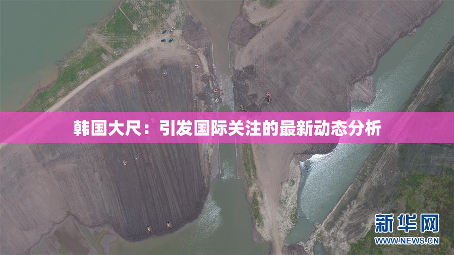 韩国大尺：引发国际关注的最新动态分析