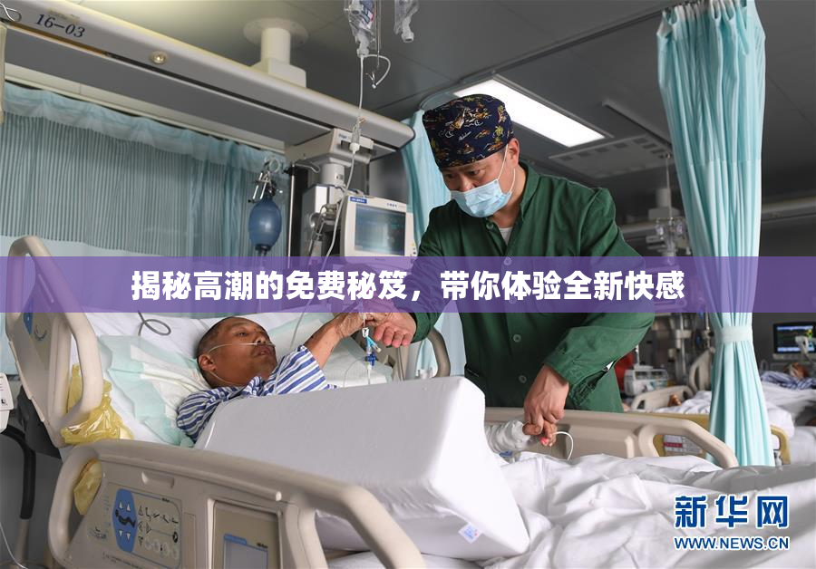 揭秘高潮的免费秘笈，带你体验全新快感