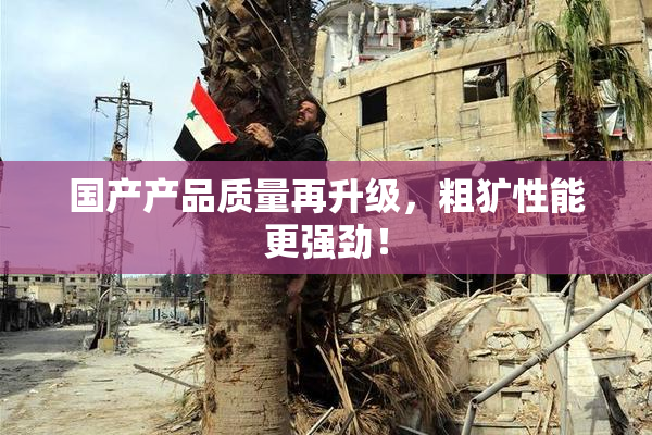国产产品质量再升级，粗犷性能更强劲！