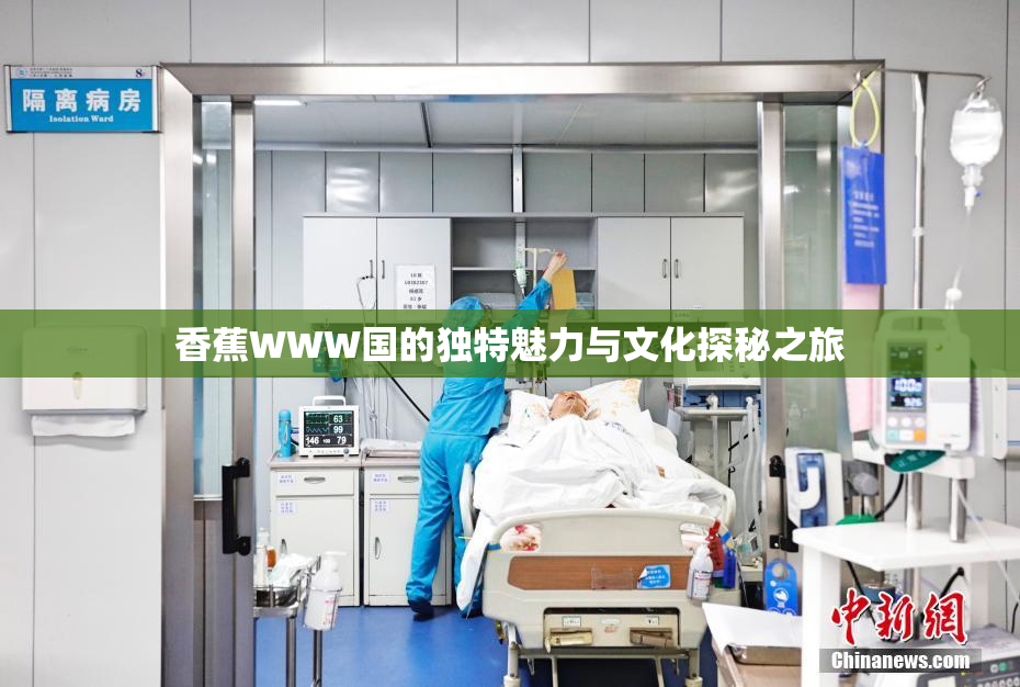香蕉WWW国的独特魅力与文化探秘之旅