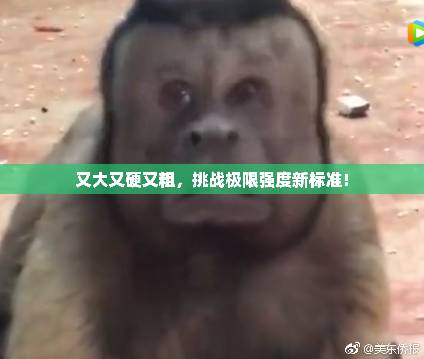 又大又硬又粗，挑战极限强度新标准！