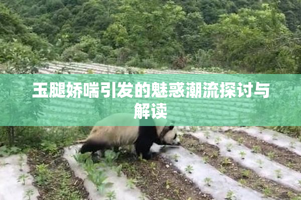 玉腿娇喘引发的魅惑潮流探讨与解读