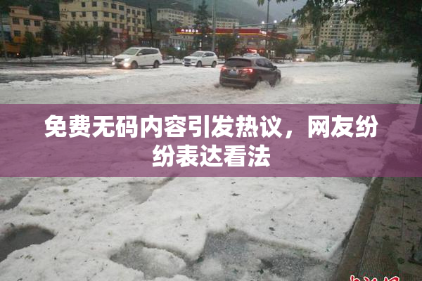 免费无码内容引发热议，网友纷纷表达看法