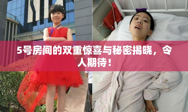 5号房间的双重惊喜与秘密揭晓，令人期待！