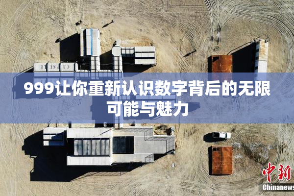 999让你重新认识数字背后的无限可能与魅力